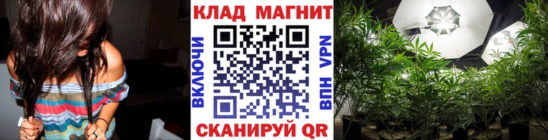 Наркошоп купить Альфа ПВП  Псилоцибиновые грибы  АМФЕТАМИН  Кокаин  МЕФ  Гусиноозёрск