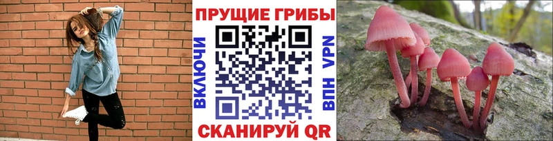 Галлюциногенные грибы мухоморы  Купить  Гусиноозёрск 